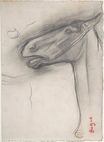 Edgar Degas - Head of a Horse 1878