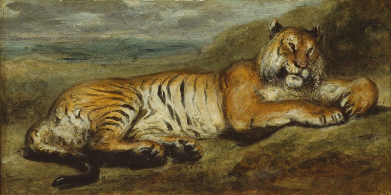 Tiger Resting 1830