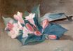 Eva Gonzalès - Flowers 1865-1883