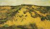 Dunes 1882
