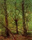 Trees and Undergrowth 1887