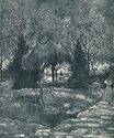 The Park at Arles with the Entrance Seen through the Trees 1888