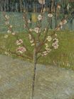 Almond Tree in Blossom 1888