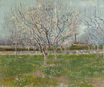 Orchard in Blossom. Plum Trees 1888
