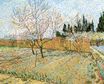 Orchard with Peach Trees in Blossom 1888