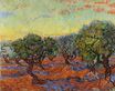 Olive Grove Orange Sky 1889