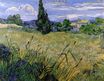 Green Wheat Field with Cypress 1889