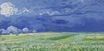 Wheat Field Under Clouded Sky 1890