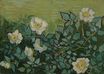 Wild Roses 1890