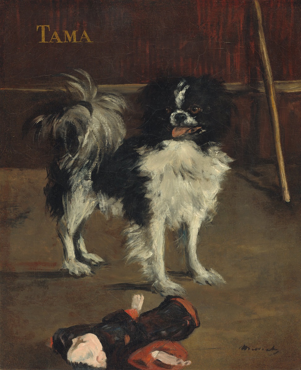 Tama the Japanese Dog 1875