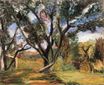 Olive Tree 1898