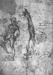 Michelangelo - Study for an arm of the marble David and the figure of the bronze David 1503