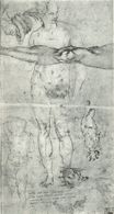 Michelangelo - Various studies 1505