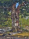 Claude Monet - The Bodmer Oak 1865