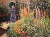 Claude Monet - Gladioli 1876