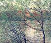Claude Monet - The Isle Grande-Jatte 1878
