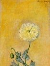 Claude Monet - White Poppy 1883
