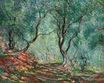 Claude Monet - Olive Tree Wood in the Moreno Garden 1884