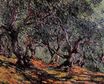Claude Monet - Olive Trees in Bordigher 1884
