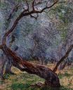Claude Monet - Olive Trees. Study 1884