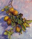Claude Monet - Branch of Lemons 1883
