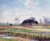 Claude Monet - Tulip Fields at Sassenheim, near Leiden 1886