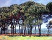 Claude Monet - Pine Trees, Cap d'Antibes 1888