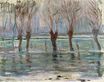 Claude Monet - Flood Waters 1896