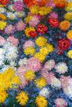 Claude Monet - Chrysanthemums 1897
