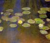 Claude Monet - Water Lilies 1899