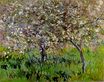 Claude Monet - Apple Trees in Bloom at Giverny 1901