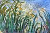 Claude Monet - Yellow Irises and Malva 1917