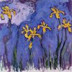 Claude Monet - Yellow Irises with Pink Cloud 1917