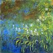 Claude Monet - Iris at the Sea-Rose Pond 1917