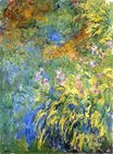 Claude Monet - Irises 1917