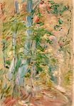 Berthe Morisot - Forest. Study 1893