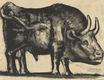 Bull, plate III 1945