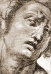 Raphael - Study for the Head 1505-1507