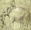 Raphael - Hanno, The Pope’s Leo X Elephant