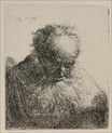 Rembrandt van Rijn - An Old Man with a Large Beard 1630