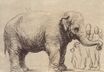 Rembrandt van Rijn - An Elephant 1637
