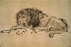 Rembrandt van Rijn - Lion Resting 1650-1652