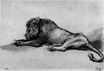 Rembrandt van Rijn - Lion resting 1650-1652