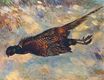 Pierre-Auguste Renoir - Dead pheasant in the snow 1879
