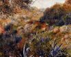 Auguste Renoir - Algerian landscape the ravine of the wild women 1881