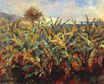 Renoir Pierre-Auguste - Field of banana trees 1881