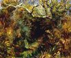 Renoir Pierre-Auguste - Mediterranean landscape 1891
