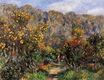 Auguste Renoir - Landscape with Mimosas 1912