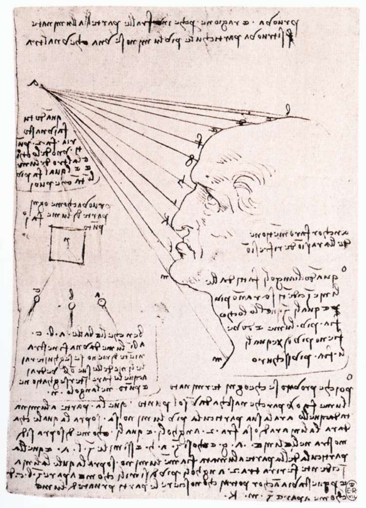 Leonardo da Vinci - Study of the effect of light on a profile head 1488