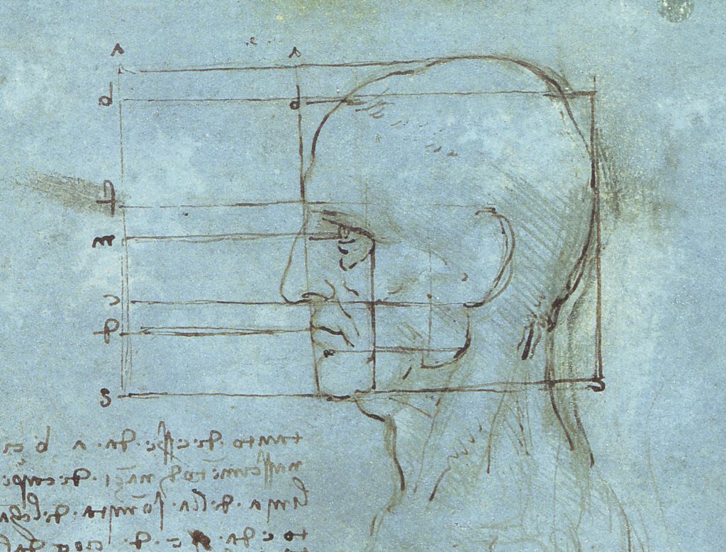 Leonardo da Vinci - The proportions of the head 1490